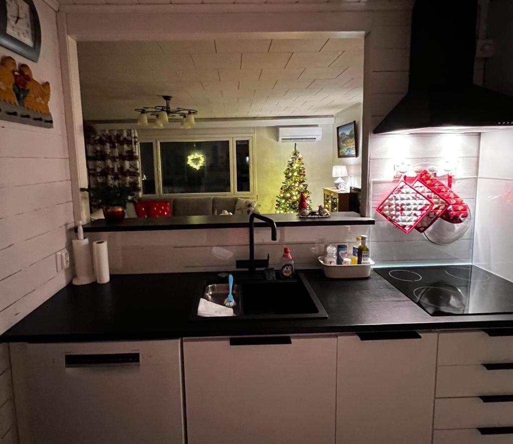 Talo-Villa- 3 Mh+S - Kittilae - Levi Upea Keittioe Dış mekan fotoğraf